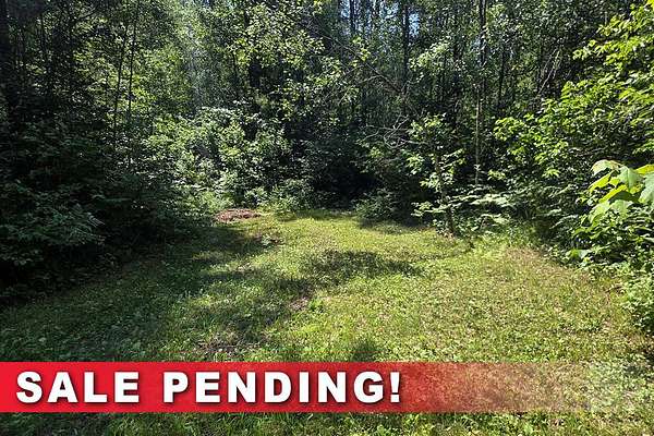 19.7 Acres of Recreational & Residential Land for Sale in Tomahawk, Wisconsin