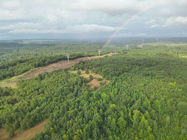 231 Acres of Land for Sale in Oakman, Alabama