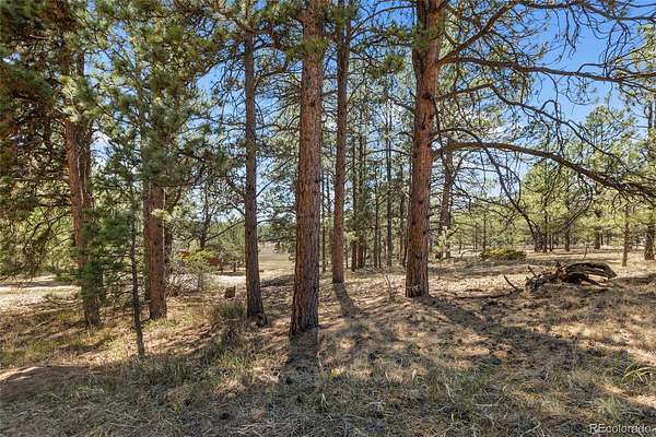 0.53 Acres of Residential Land for Sale in Florissant, Colorado