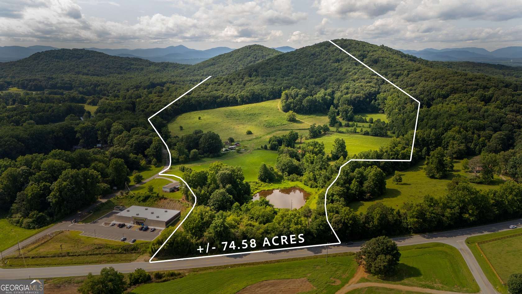 76 Acres of Land for Sale in Cleveland, Georgia