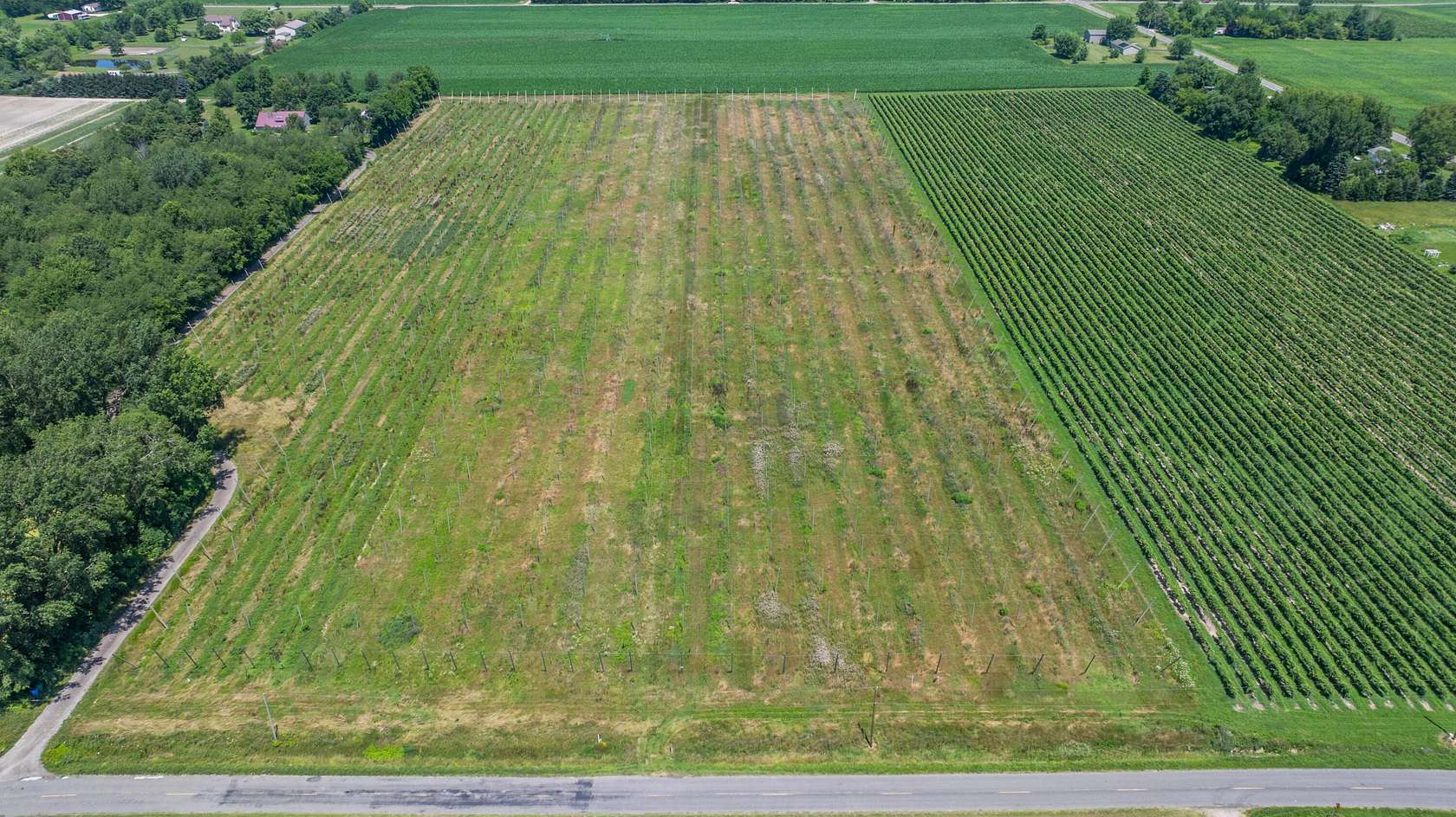 21.5 Acres of Agricultural & Residential Land for Sale in Baroda, Michigan