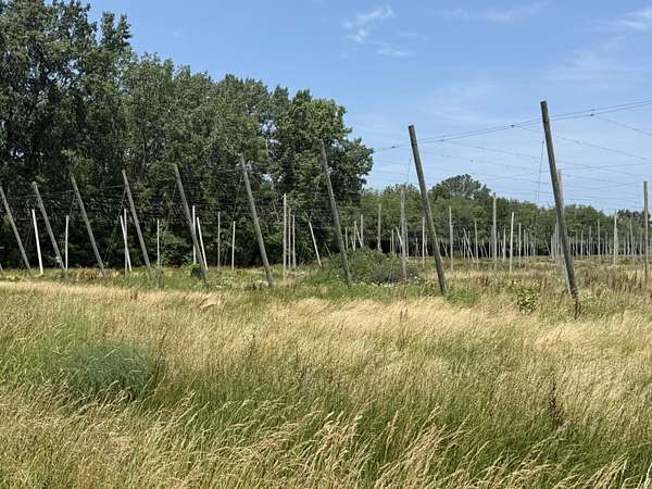 21.5 Acres of Agricultural & Residential Land for Sale in Baroda, Michigan