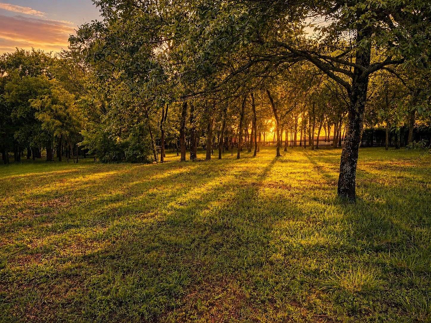 1.2 Acres of Residential Land for Sale in Sherman, Texas