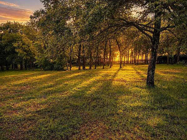 1.2 Acres of Residential Land for Sale in Sherman, Texas