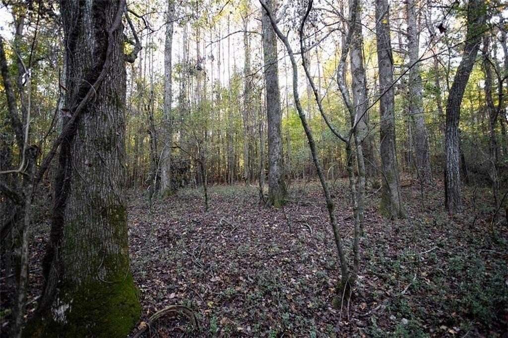 6 Acres of Residential Land for Sale in Social Circle, Georgia