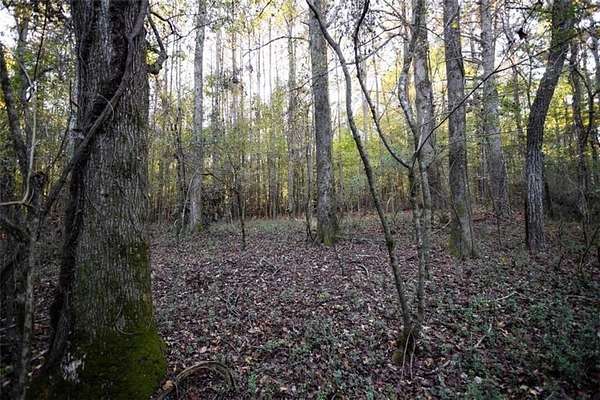 6 Acres of Residential Land for Sale in Social Circle, Georgia