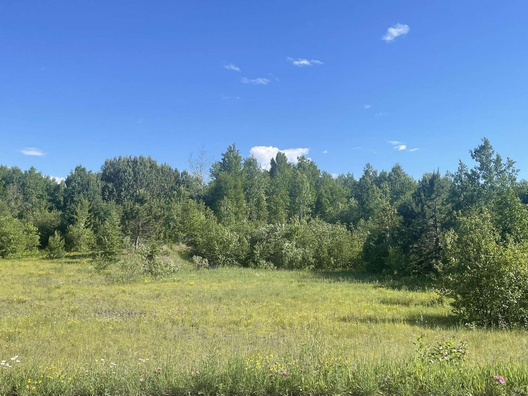 39.6 Acres of Recreational Land for Sale in Iron Belt, Wisconsin