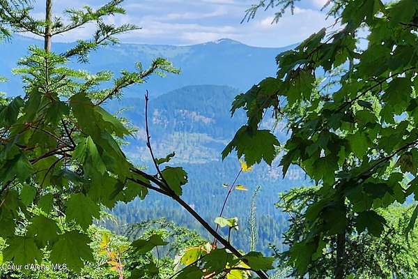 9.86 Acres of Land for Sale in Priest River, Idaho
