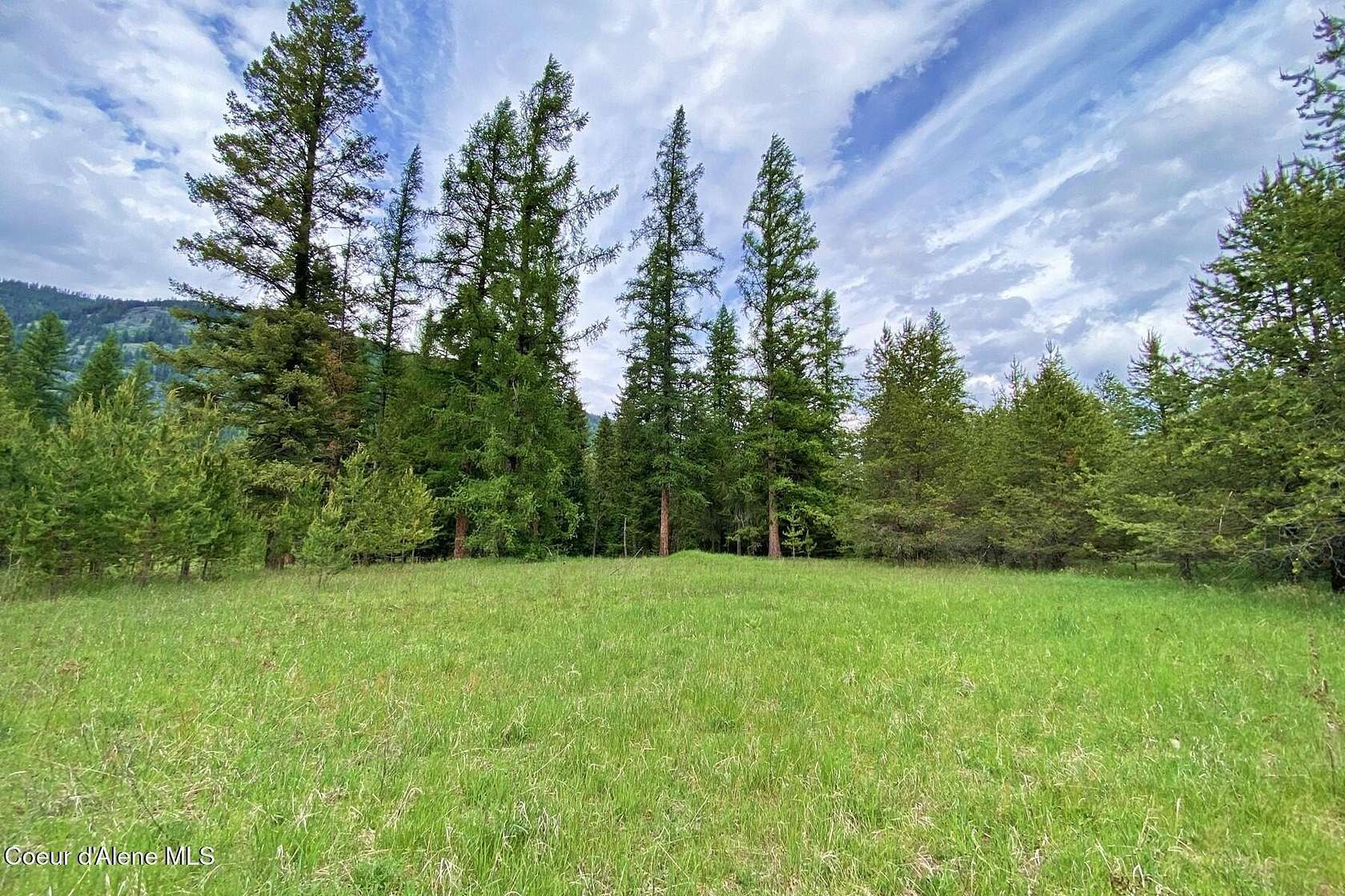 58 Acres of Recreational & Residential Land for Sale in Bonners Ferry, Idaho