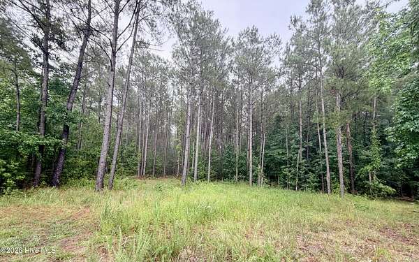 4.85 Acres of Commercial Land for Sale in Currie, North Carolina