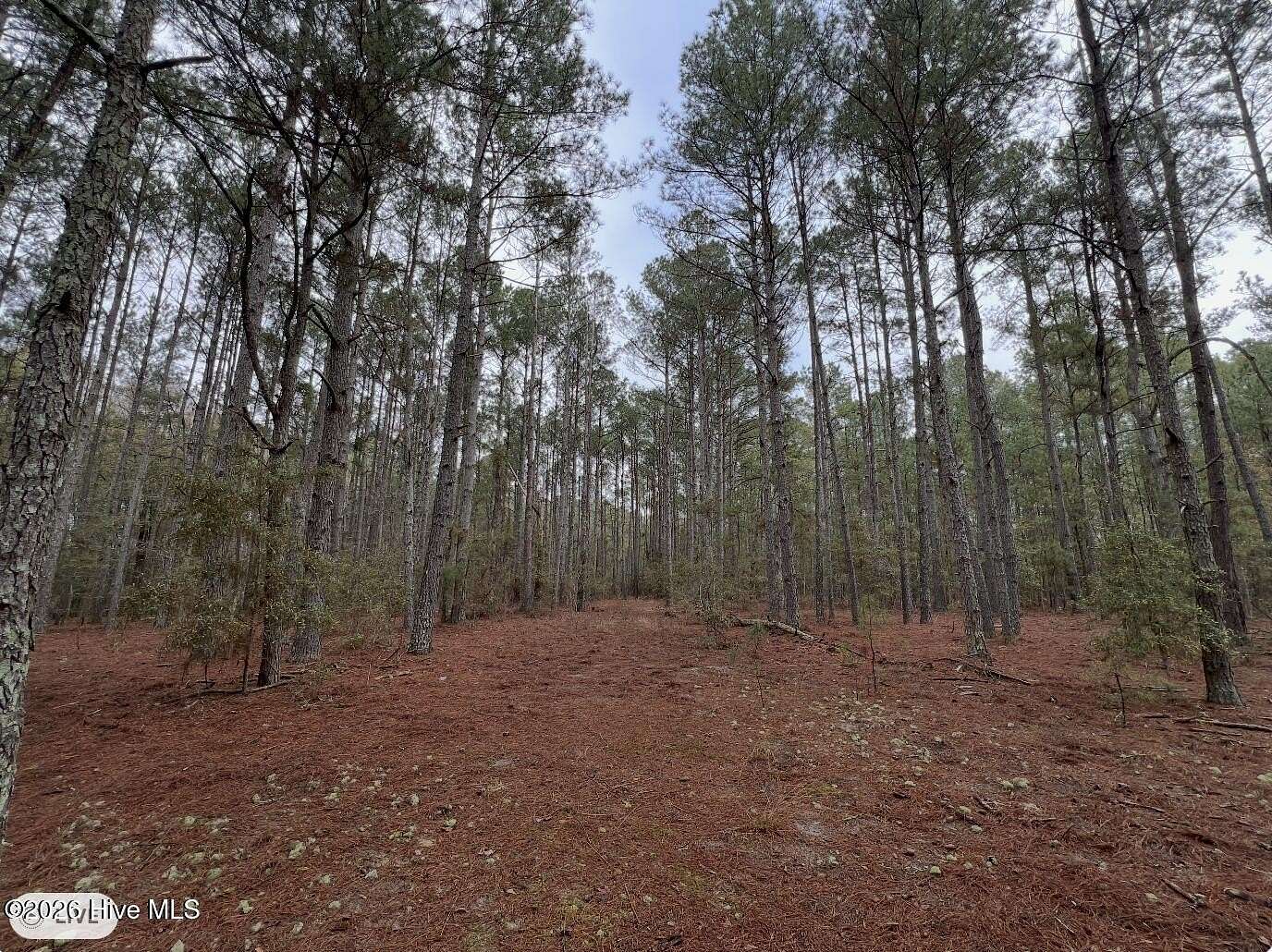 18 Acres of Land for Sale in Clinton, North Carolina
