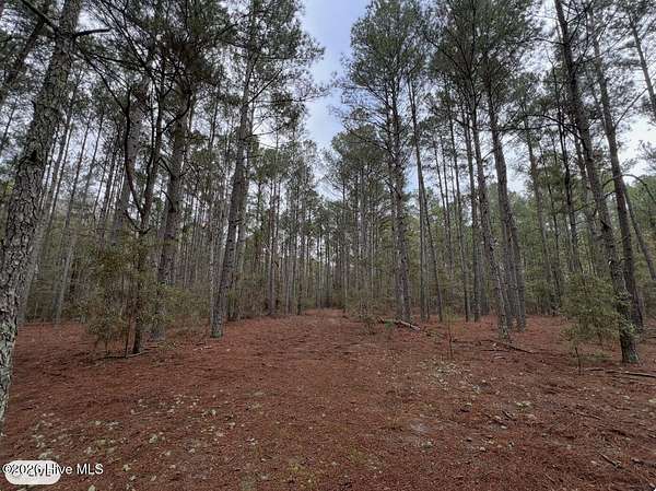 18 Acres of Land for Sale in Clinton, North Carolina