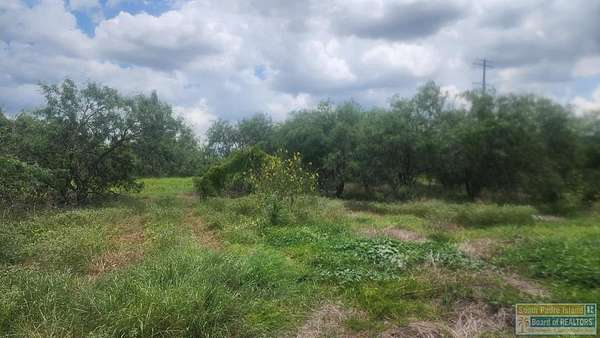 4 Acres of Residential Land for Sale in Los Fresnos, Texas