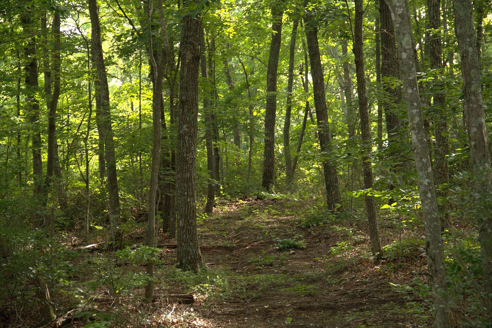 10 Acres of Recreational & Residential Land for Sale in McMinnville, Tennessee