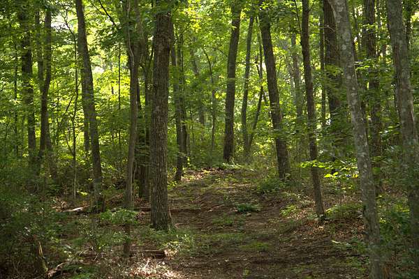 10 Acres of Recreational & Residential Land for Sale in McMinnville, Tennessee