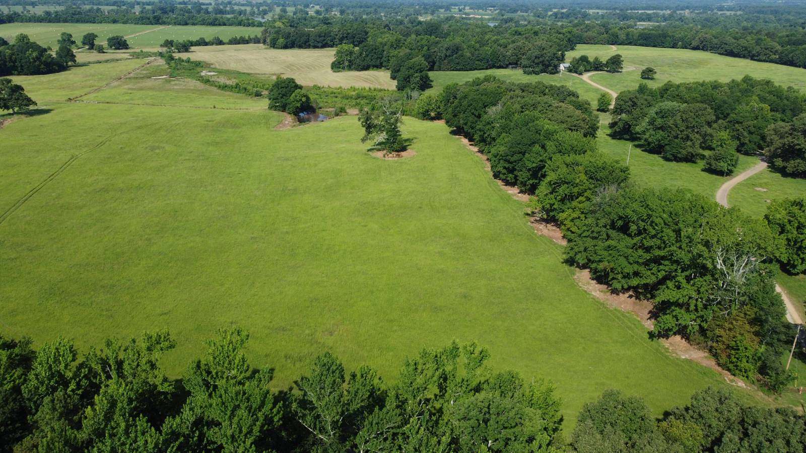 30 Acres of Recreational & Residential Land for Sale in Ozark, Arkansas