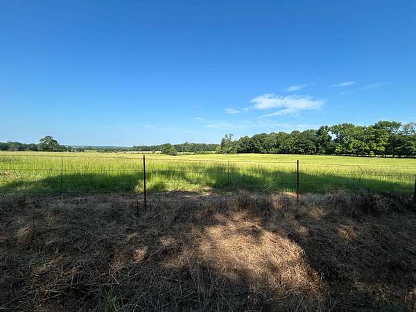 20 Acres of Recreational & Residential Land for Auction in Ozark, Arkansas