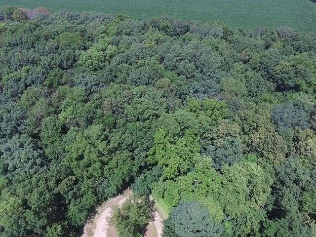5.33 Acres of Residential Land for Sale in Brodhead, Wisconsin