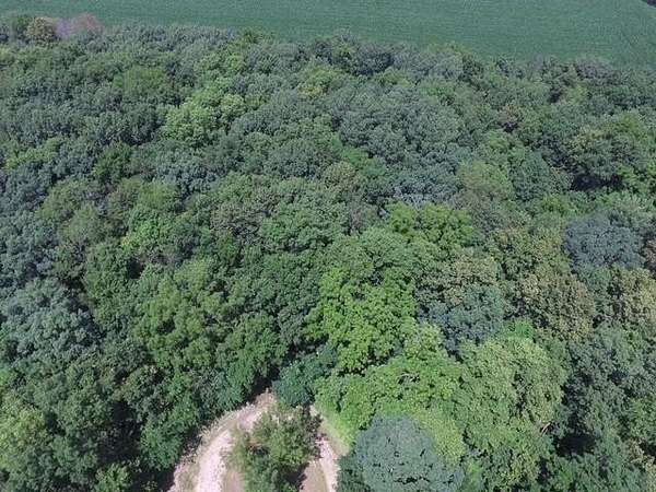 5.33 Acres of Residential Land for Sale in Brodhead, Wisconsin