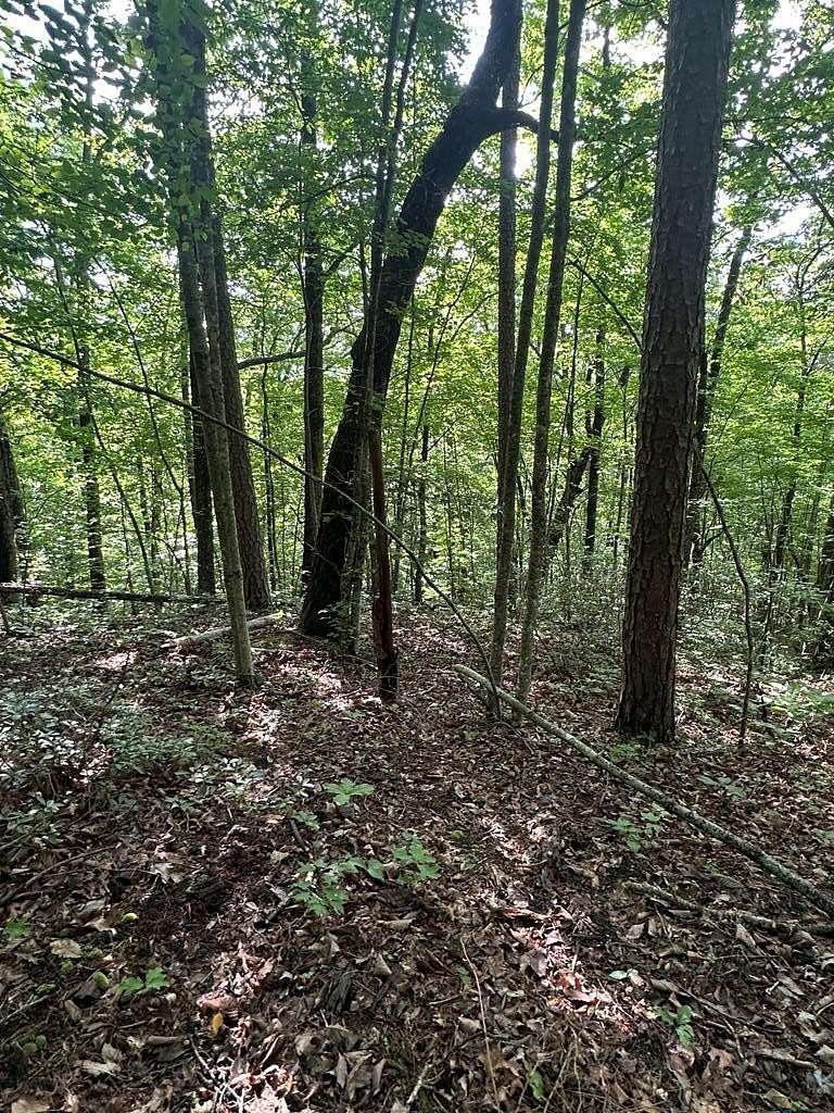 6.53 Acres of Residential Land for Sale in Wilder, Tennessee