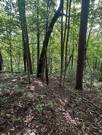6.53 Acres of Residential Land for Sale in Wilder, Tennessee