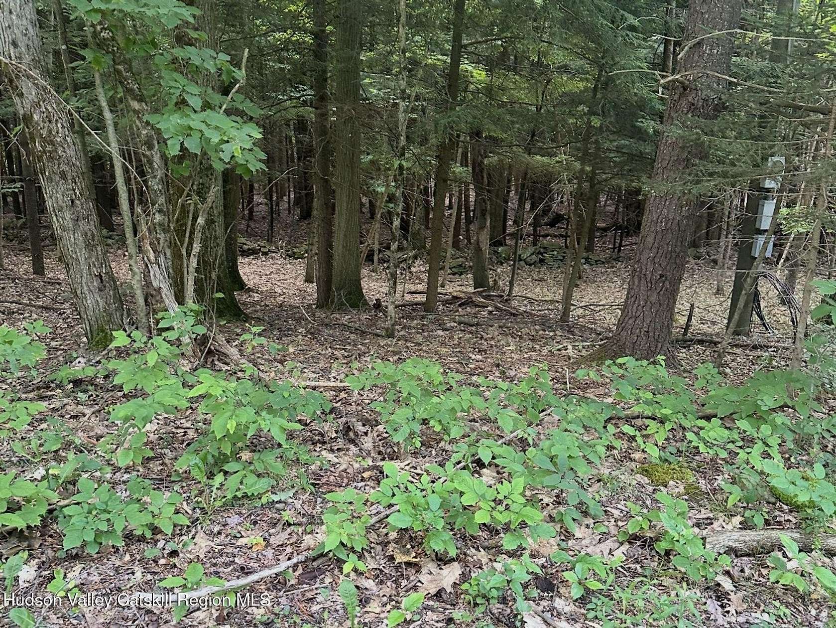 5.45 Acres of Residential Land for Sale in Jefferson, New York