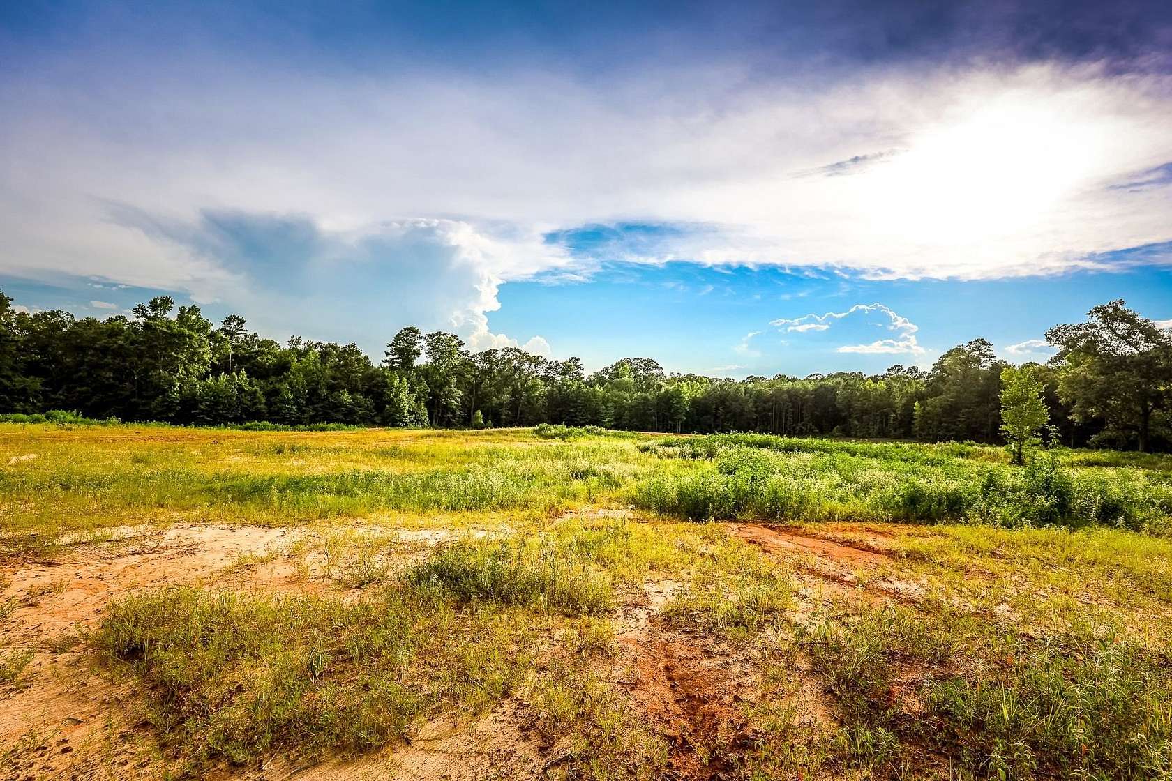 33.4 Acres of Land for Sale in Longview, Texas