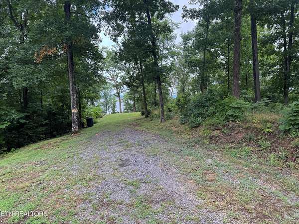 1.7 Acres of Residential Land for Sale in White Pine, Tennessee