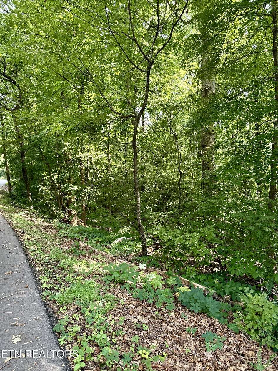 1 Acre of Residential Land for Sale in Sweetwater, Tennessee