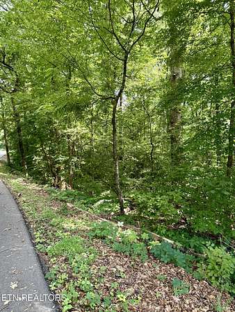1 Acre of Residential Land for Sale in Sweetwater, Tennessee