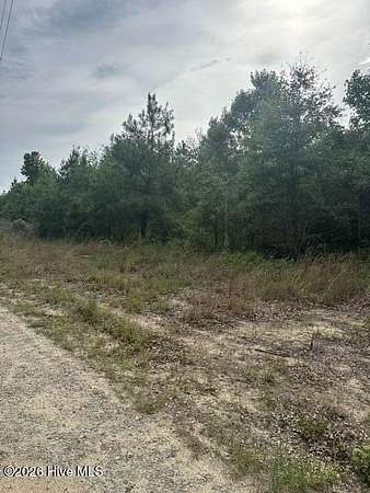 15.2 Acres of Recreational & Residential Land for Sale in Ellerbe, North Carolina