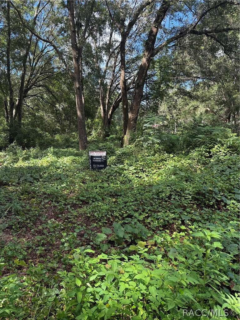 0.26 Acres of Residential Land for Sale in Citra, Florida