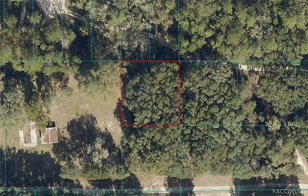 0.26 Acres of Residential Land for Sale in Citra, Florida