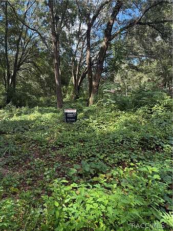 0.26 Acres of Residential Land for Sale in Citra, Florida