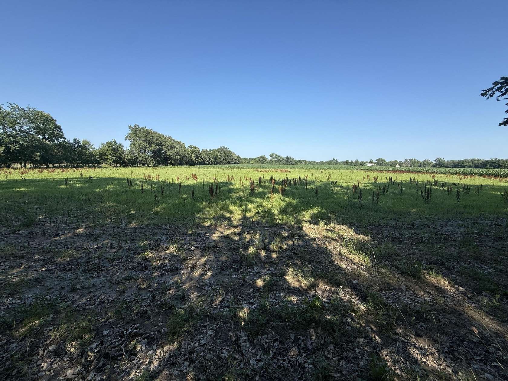 2 Acres of Land for Sale in Otsego, Michigan