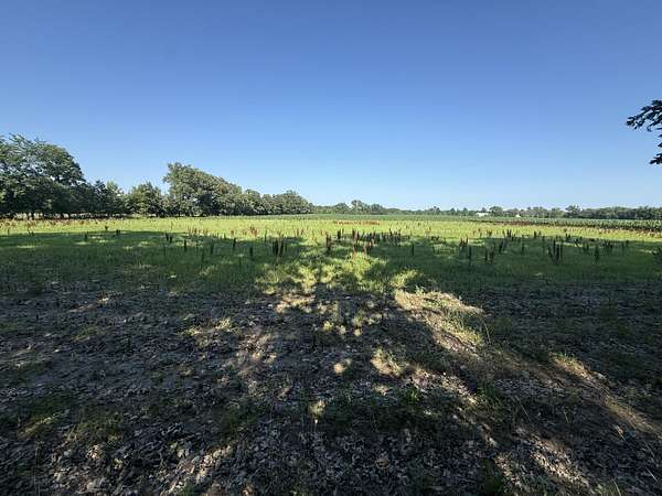 2 Acres of Land for Sale in Otsego, Michigan