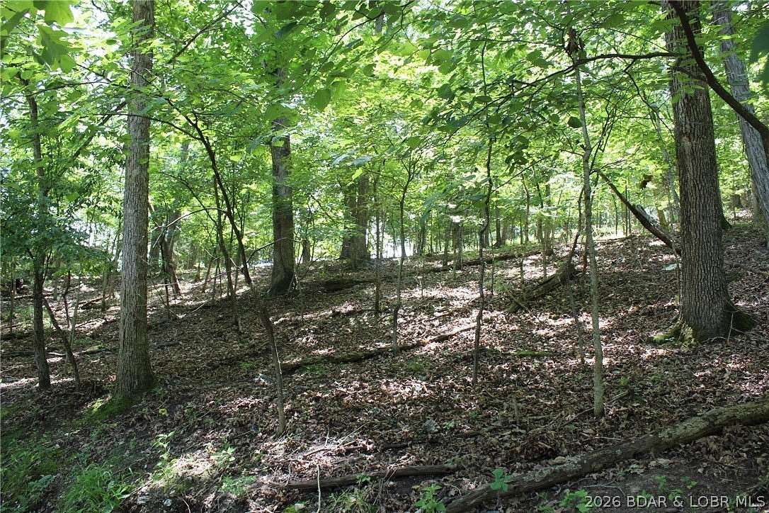 0.69 Acres of Residential Land for Sale in Gravois Mills, Missouri