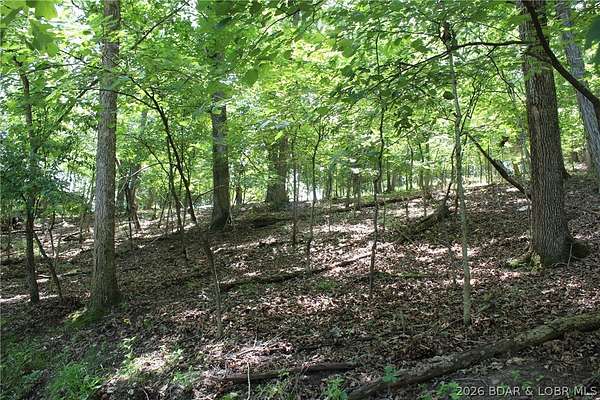 0.69 Acres of Residential Land for Sale in Gravois Mills, Missouri