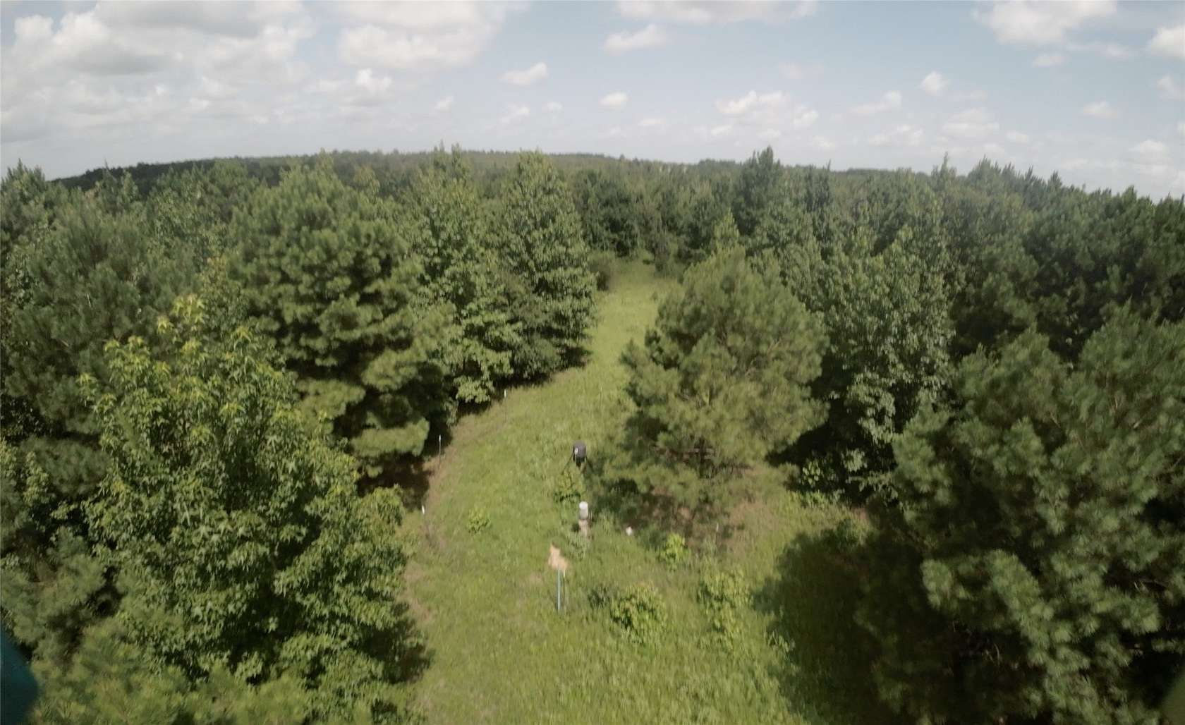 28 Acres of Land for Sale in Jefferson, Texas