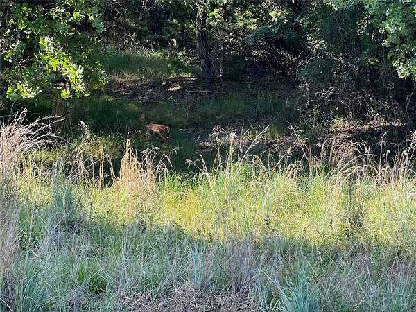 0.55 Acres of Land for Sale in Nocona, Texas