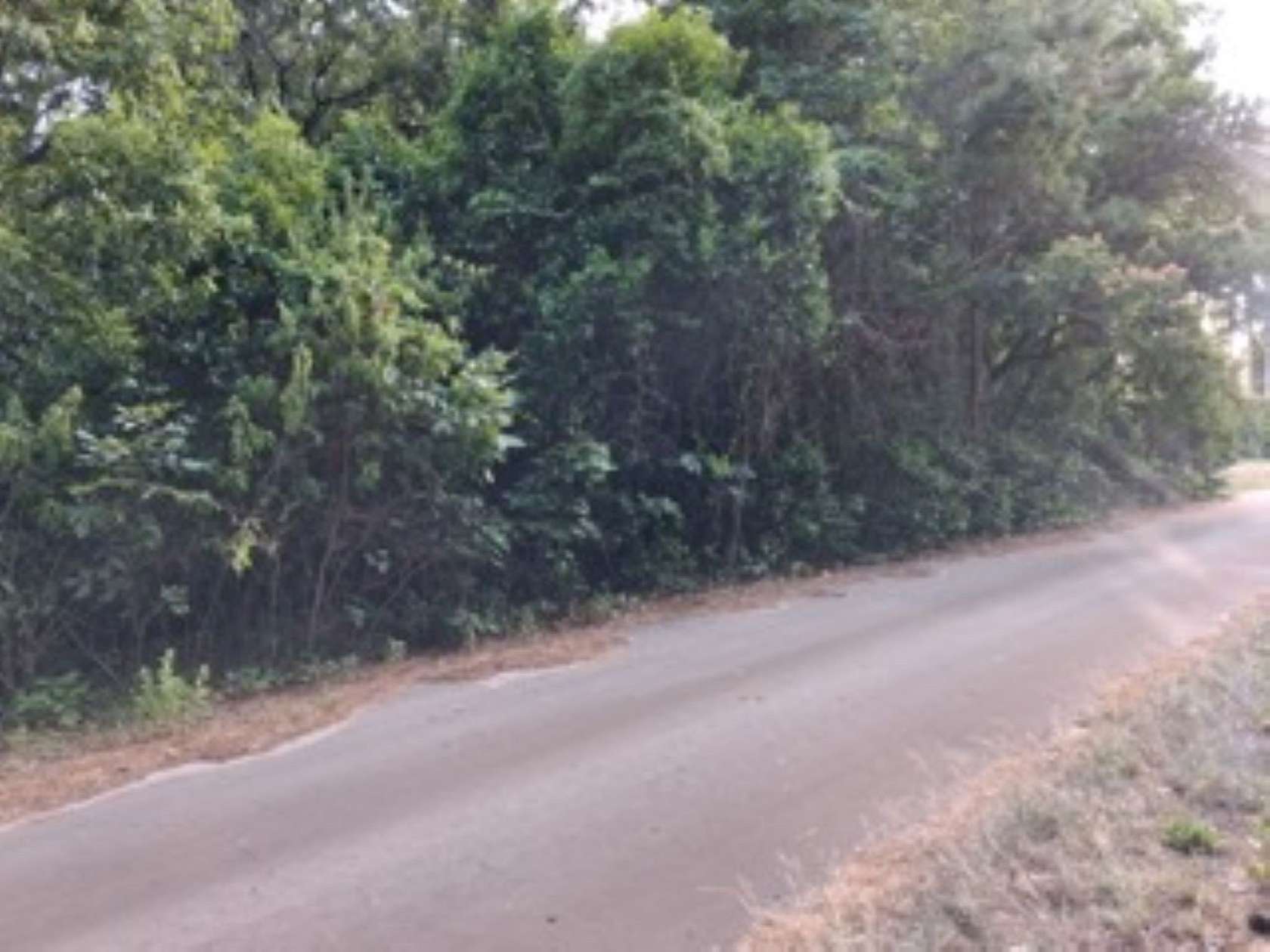1 Acre of Residential Land for Sale in Murchison, Texas