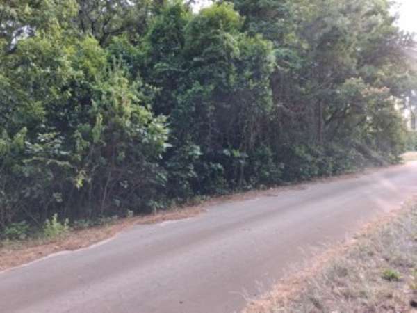 1 Acre of Residential Land for Sale in Murchison, Texas