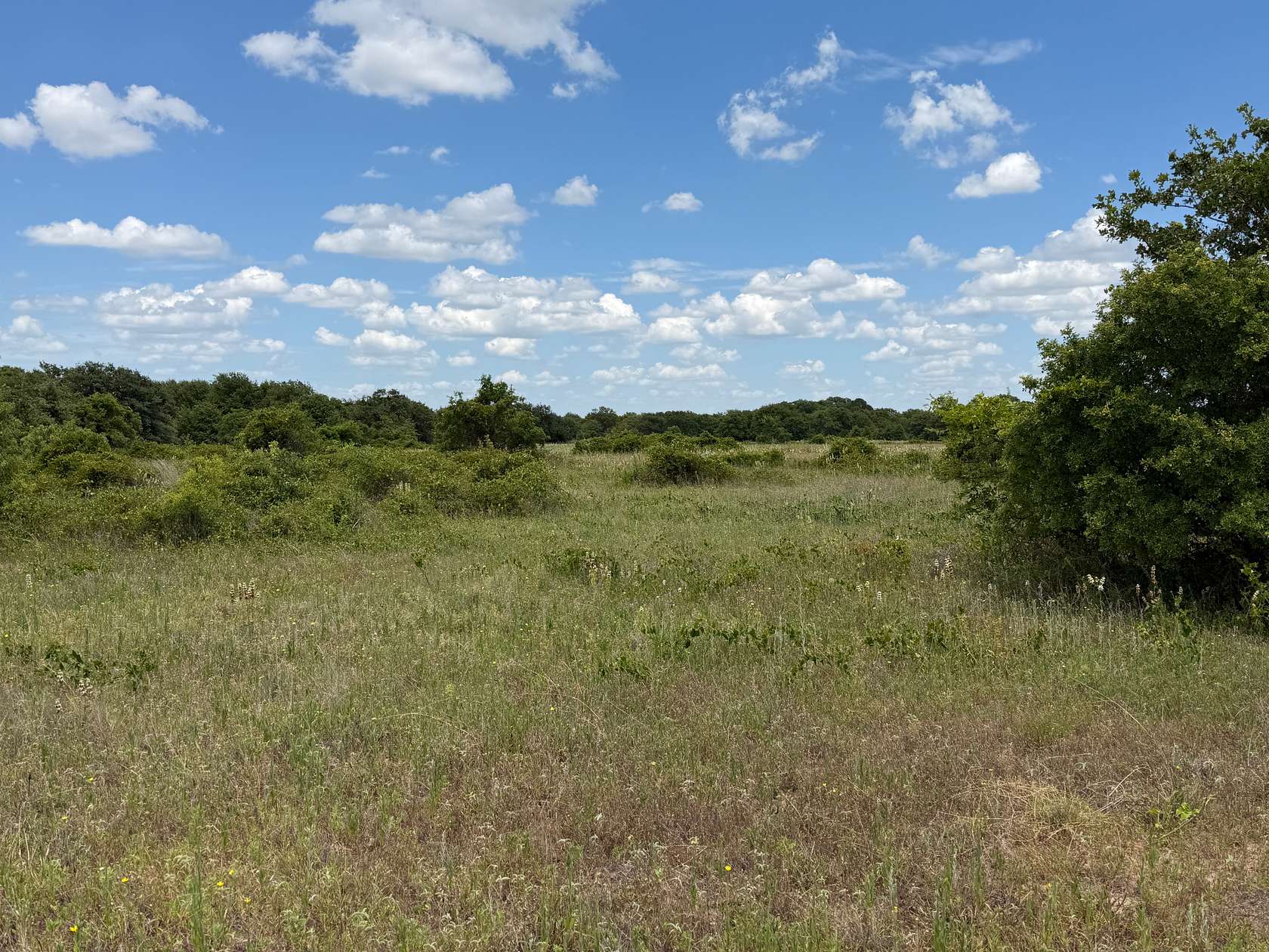 20 Acres of Land for Sale in Rising Star, Texas