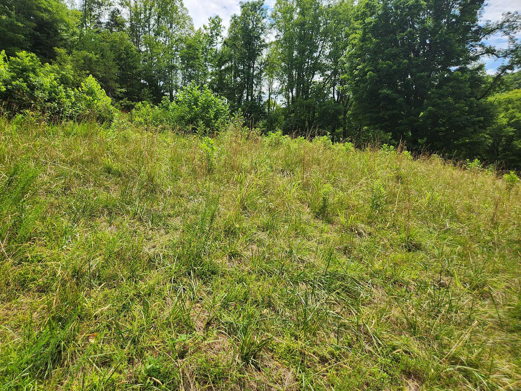 1.5 Acres of Residential Land for Sale in Ferrum, Virginia