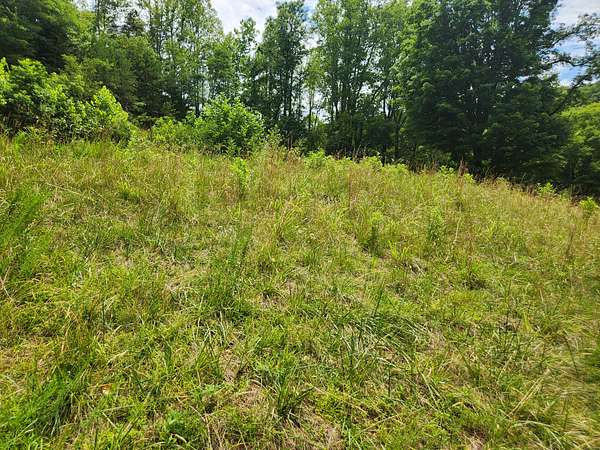 1.5 Acres of Residential Land for Sale in Ferrum, Virginia