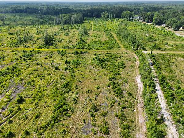 88 Acres of Land for Sale in Bamberg, South Carolina