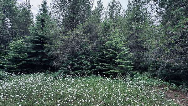 2.43 Acres of Residential Land for Sale in Weippe, Idaho