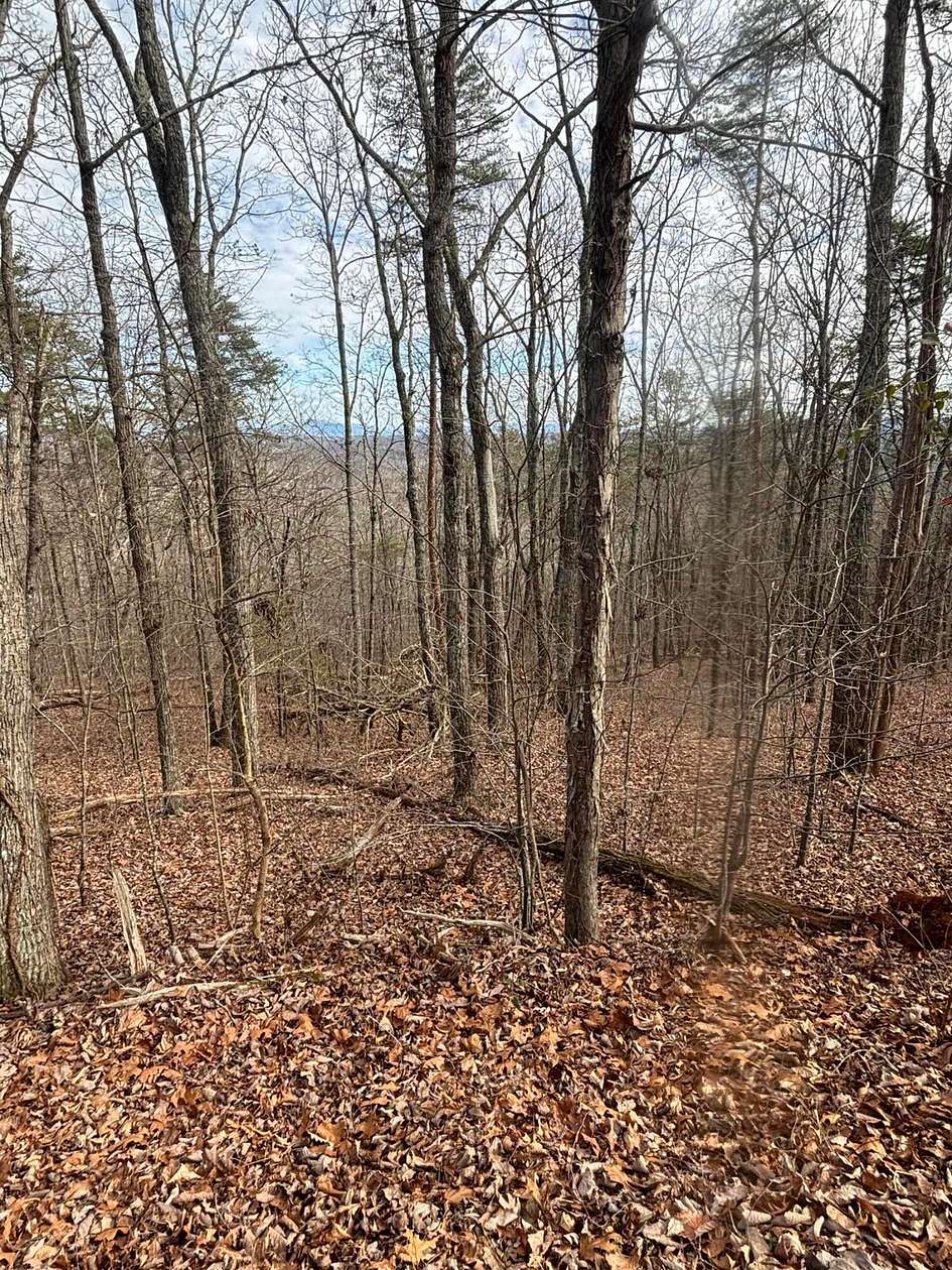 2 Acres of Residential Land for Sale in Ringgold, Georgia