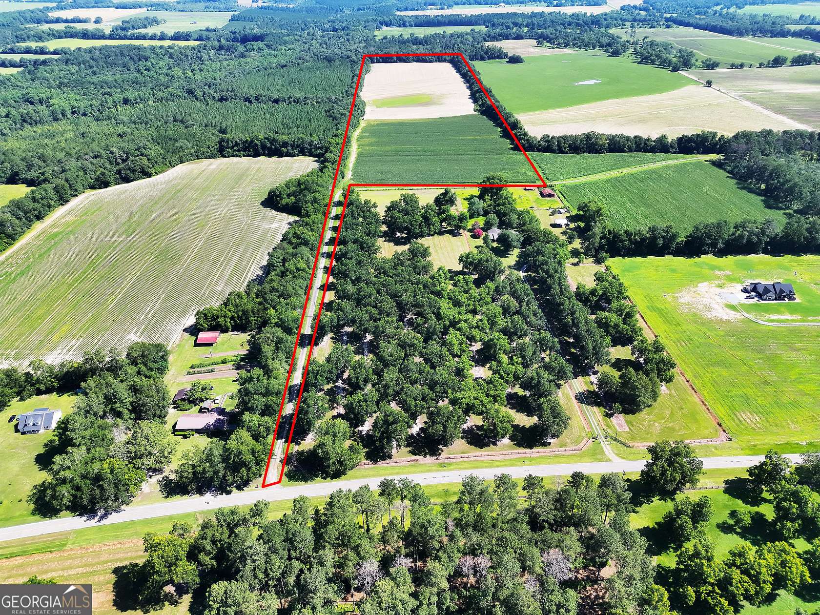 45.9 Acres of Agricultural & Residential Land for Sale in Whigham, Georgia