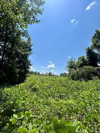 80 Acres of Land for Sale in Oxford, Mississippi